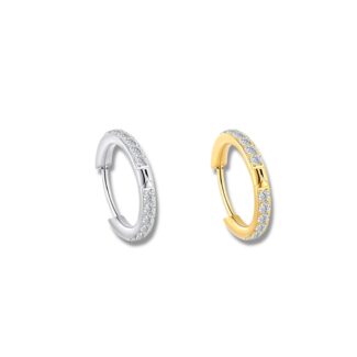 Segment Ring Nase besetzt