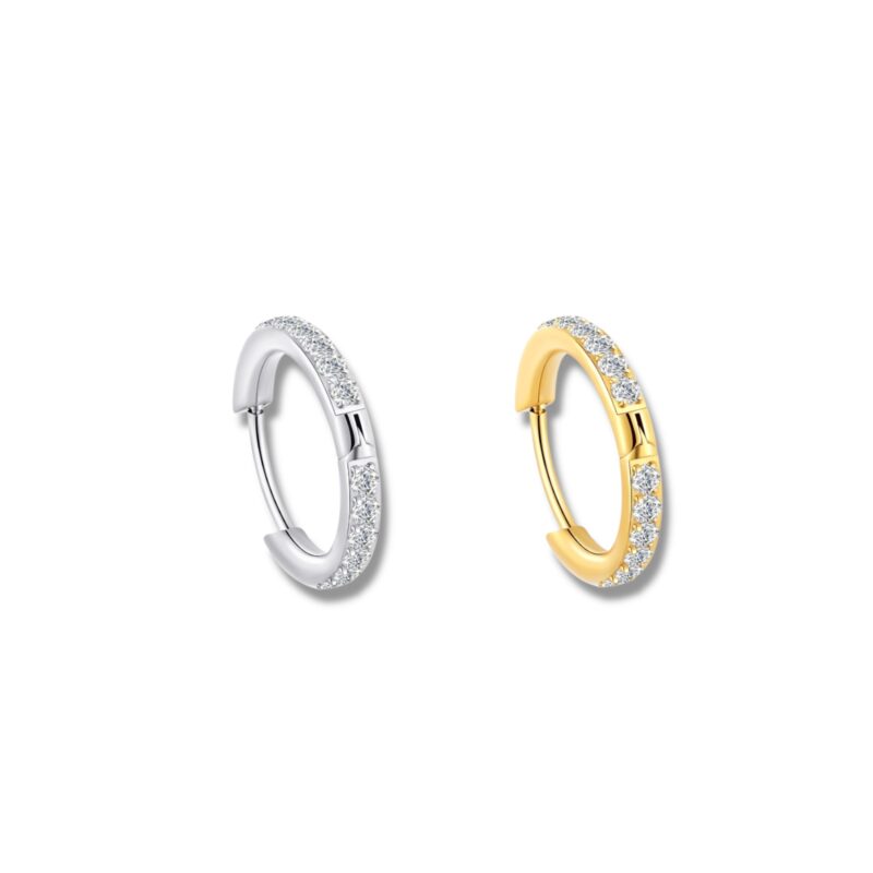 Segment Ring Nase besetzt