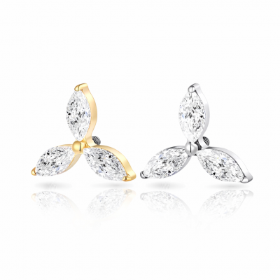 41314661-7902-4896-AFB5-F7BBA39561A6