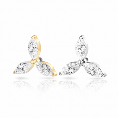 41314661-7902-4896-AFB5-F7BBA39561A6